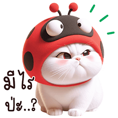 Angry Ladybug cat (Big Stickers)