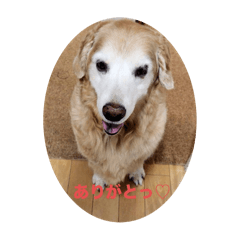chanchako_20240510224206