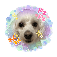 manmaru_20240511014236