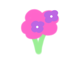 flower ceut()
