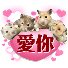 Rascal Hamsters Part1
