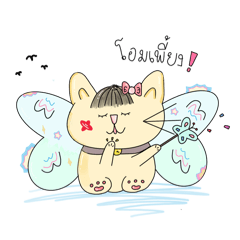 Staywithstar_20240511163420