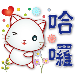 Cute white cat--useful phrases