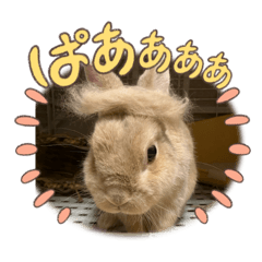 Kamugi_20240511113613