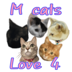 M cats love 4
