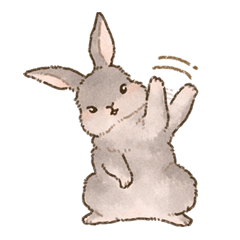 Rabbit daily sticker 2