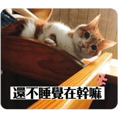 布布&妹妹+路人2