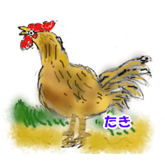 Yellow chicken greeting stamp (for Taki)