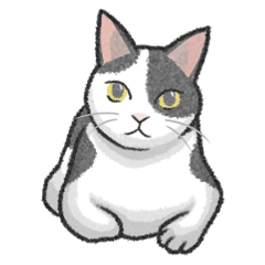 ぶち猫（白黒猫）スタンプ【常用】