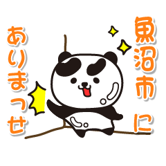 niigataken uonumashi Glossy Panda