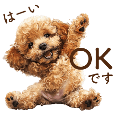 Cute Puppy Toy Poodle | Honorific Words