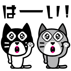 Maru Cat Sticker 3.0