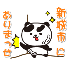 aichiken shinshiroshi Glossy Panda