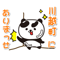 mieken kawagoecho Glossy Panda