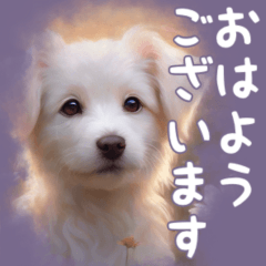 Dog honorific language(BIG)