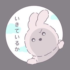 A rough bunny, Toseul (jp ver.)