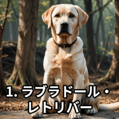 8 Japanese and Western dogs