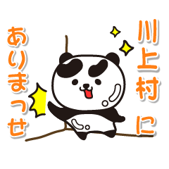 naraken kawakamimura Glossy Panda