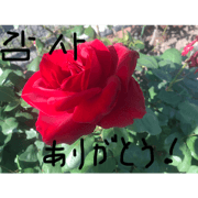 Junai_20240510182349