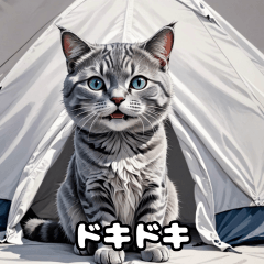 テントからのぞくかわいい猫　第3弾