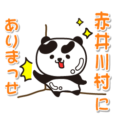 hokkaido akaigawamura Glossy Panda