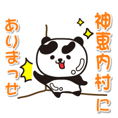 hokkaido kamoenaimura Glossy Panda