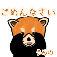 Umeno's lesser panda