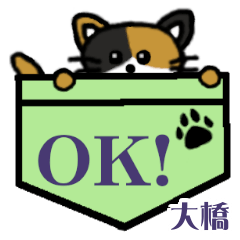 Oohashi's Pocket Cat's  [2]