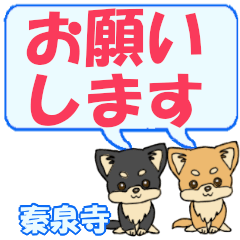 Jinzenji's letters Chihuahua2