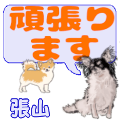Hariyama's letters Chihuahua (2)