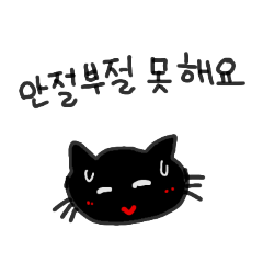 Korean black cat polite