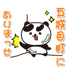 akitaken gojomemachi Glossy Panda