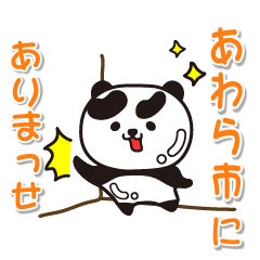 fukuiken awarashi Glossy Panda