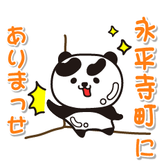 fukuiken eiheijicho Glossy Panda