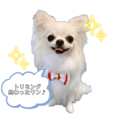 Supertsurai_20240512131542