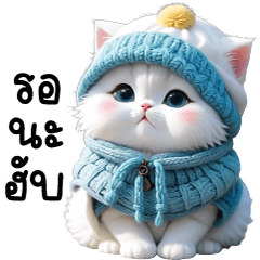 Cat Yarn set Cute