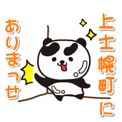 hokkaido kamishihorocho Glossy Panda