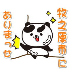 shizuokaken makinoharashi Glossy Panda