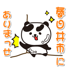aichiken kasugaishi Glossy Panda