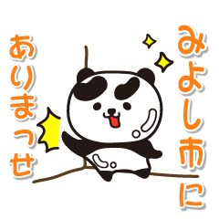aichiken miyoshishi Glossy Panda