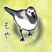 wanowakai sticer8