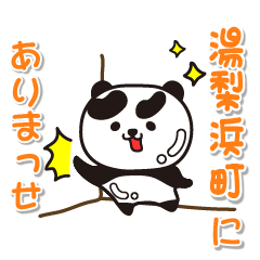 tottoriken yurihamacho Glossy Panda
