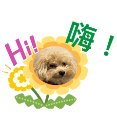 貼圖trecy1