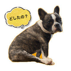 minnano.fukuchan