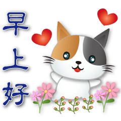 Cute Calico cat -- common phrases
