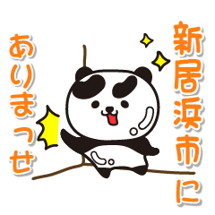 ehimeken niihamashi  Panda
