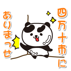 kochiken shimantoshi  Panda