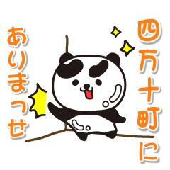 kochiken shimantocho  Panda