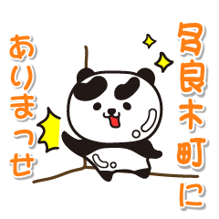 kumamotoken taragimachi  Panda