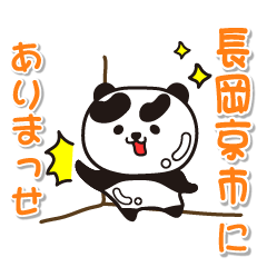 kyotofu nagaokakyoshi Glossy Panda